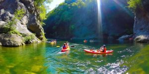 Colorful kayaks on a river with green foliage.