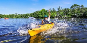 Paddler in kayak navigating serene waters with trees.